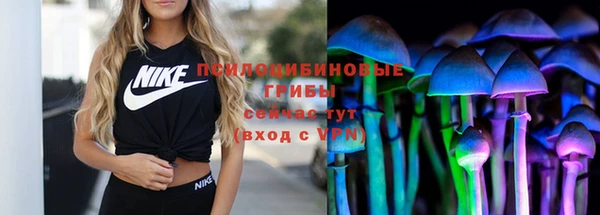 mix Надым