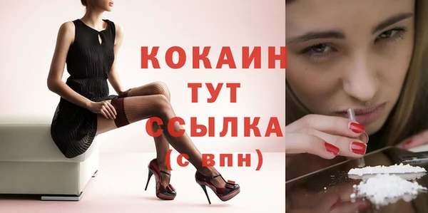 мдпв Михайлов