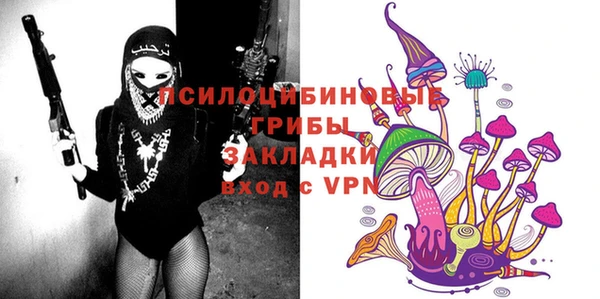 mix Надым