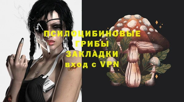 mix Надым