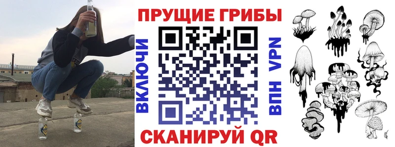 продажа наркотиков Новоаннинский omg зеркало Галлюциногенные грибы GOLDEN TEACHER