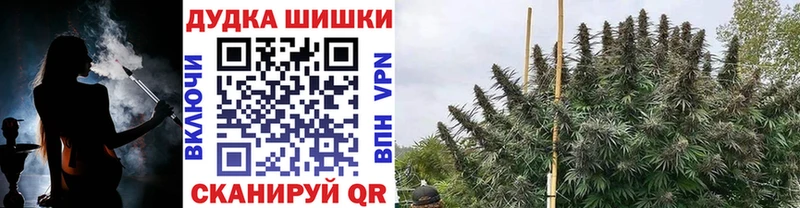 как найти закладки  Новоаннинский  Бошки Шишки марихуана 